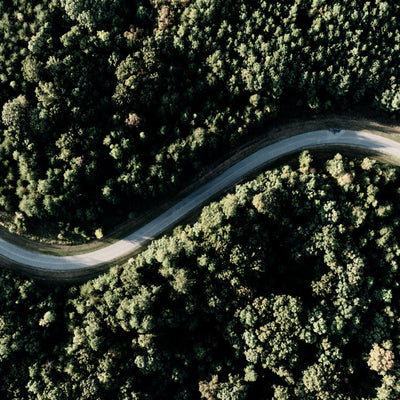 Straße durch Wald