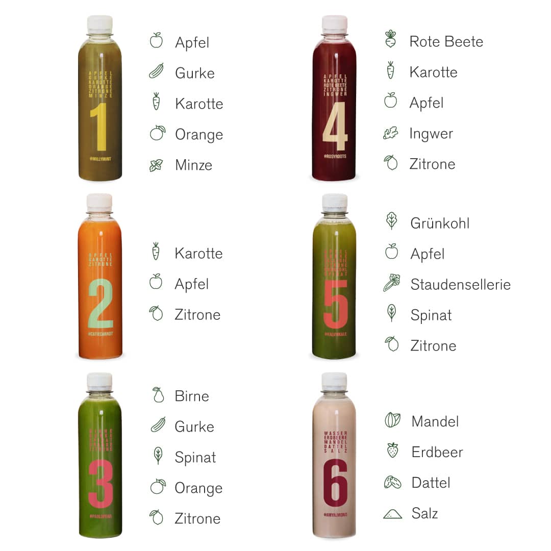 Vorstellung 6 verschiedene Obst- und Gemüsesäfte